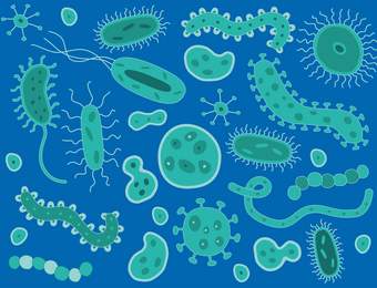 Bakterienalarm auf Zahnbürsten: Mikrobiologe warnt vor resistenten Keimen